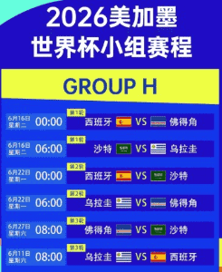 球场观众欢呼